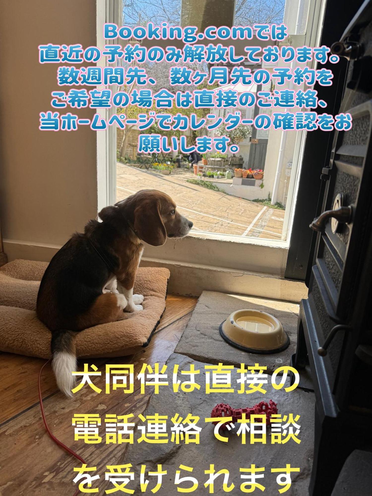 Kamakurayama Holiday Flat 외부 사진