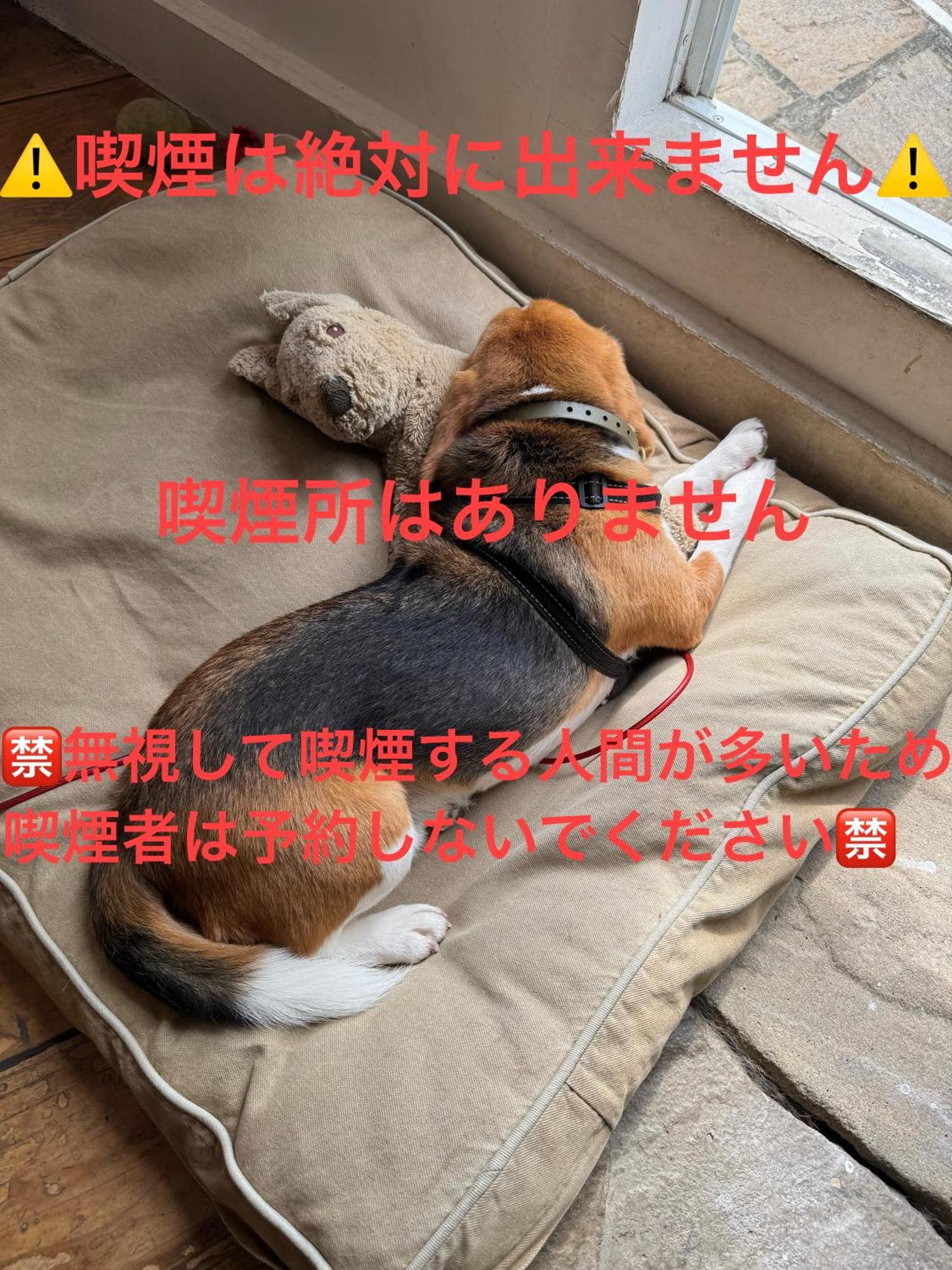 Kamakurayama Holiday Flat 외부 사진